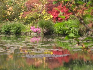 Le jardin de Claude Monet                                  